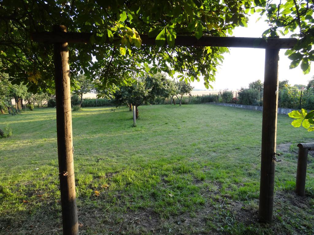 Apartament Nitschke "Zum Nusshof" Ahrensfelde Zewnętrze zdjęcie